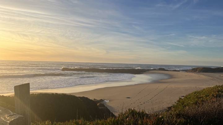 Recuperan cuerpo en playa estatal Bean Hollow en Condado San Mateo