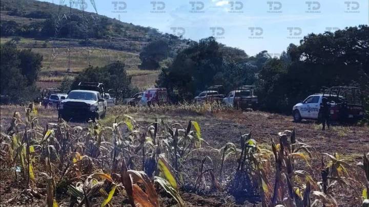 Desmembrados y al interior de bolsas, abandonan cadáveres en Cañada Morelos, Puebla