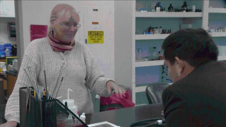 'Preserving the foxes also means preserving land for biodiversity': Endangered Kit foxes find a home at CSUB