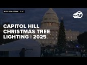 🔴LIVE | Capitol lighting of Christmas tree 'Silver Belle'