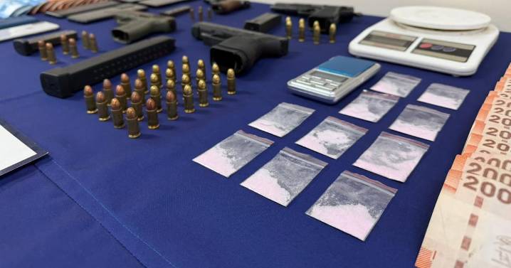 Detienen a cinco personas e incautan armas tras denuncia por VIF en Peñalolén