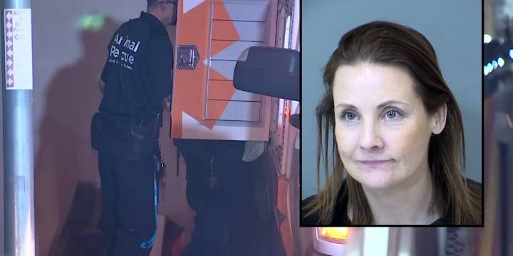 Accused animal hoarder in Chandler offered plea deal in two cases