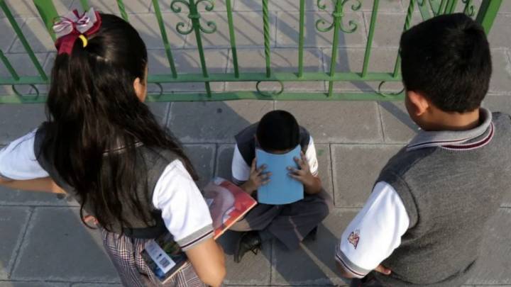 Concentran 5 alcaldías casos de acoso escolar… Llama diputada de Morena a frenar esta problemática