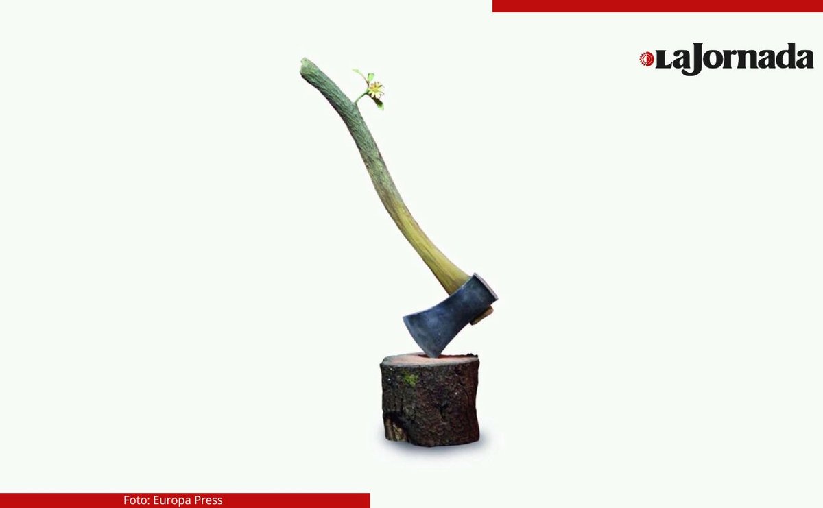 Banksy, Escif, Blu y fotoperiodistas alzan la voz por la dignidad del pueblo palestino