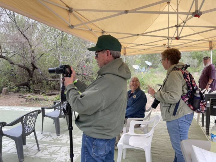 Rare brown jay bird spotted at South Texas wildlife preserve -