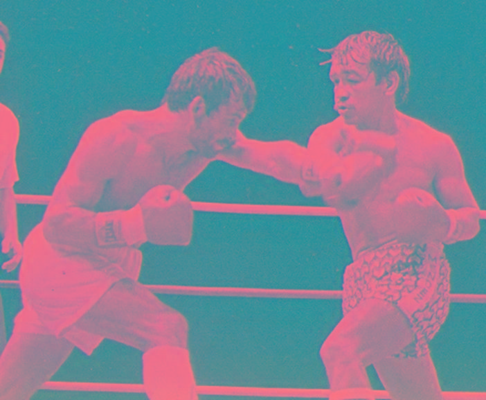 Diciembre de minimoscas