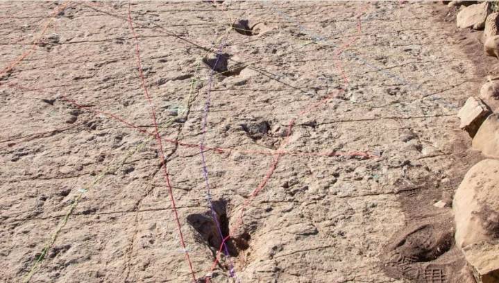 Descubren el yacimiento más grande de huellas de dinosaurios en este país de Suramérica