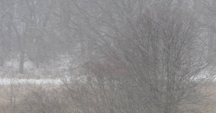 Local municipalities declare snow events beginning Tuesday night