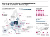 Peste porcina causa sacrificio de miles de cerdos y millonarias pérdidas en la UE
