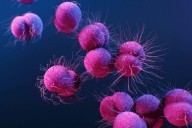 New antibiotic could stave off drug-resistant gonorrhoea