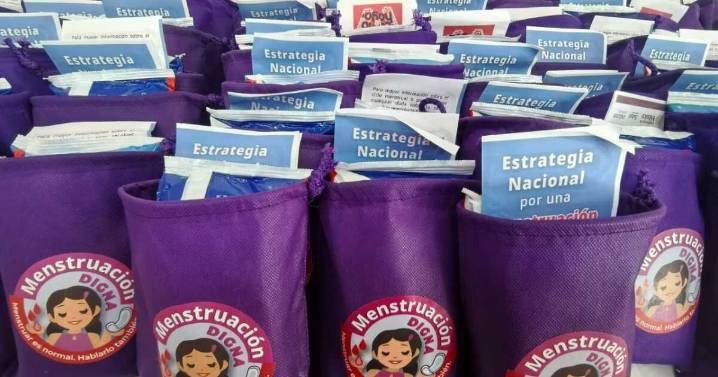 Estrategia Nacional por una Menstruación Digna en la Educación Básica y Media Superior: ¿A cuántas alumnas beneficiará?