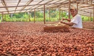 Venezuela exporta 200 toneladas de Cacao a Rusia