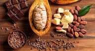 Altos precios del cacao se mantendrían en el 2026: ¿Negocios se ven afectados?