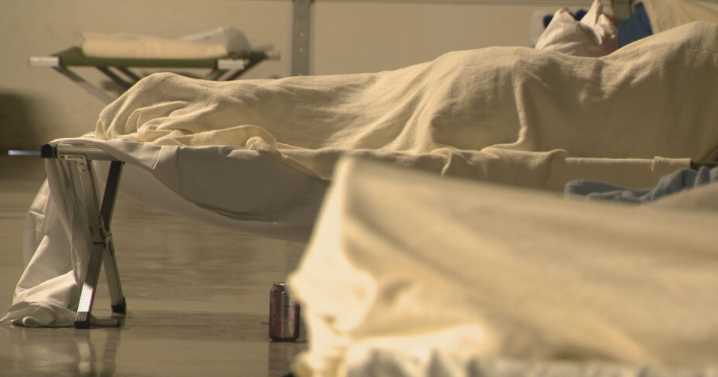 Wilson County EMA and Volunteer Network open pet-friendly warming shelter during dangerous cold snap