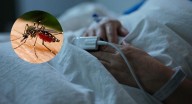 Dengue: joven murió por esta enfermedad en Barrancabermeja, familia denuncia que “hubo fallas”