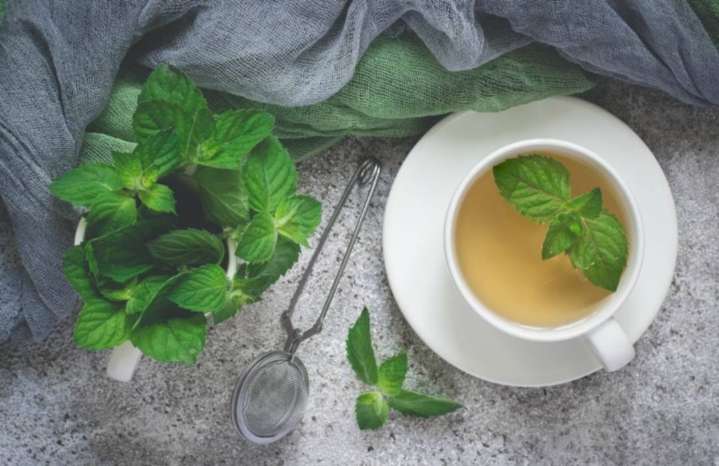 Seis beneficios del té de menta para incorporar a tu rutina diaria y cómo prepararlo