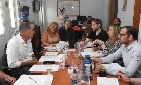 Romeo estuvo en el Concejo y dijo que el Municipio comprará 120 cámaras de seguridad