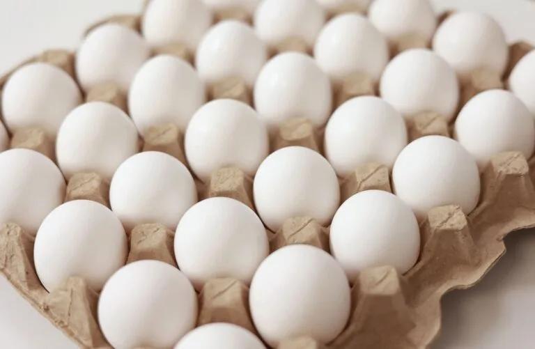 Adulterated Egg Row: Teams deployed for sample collection, Says Food Safety Dept