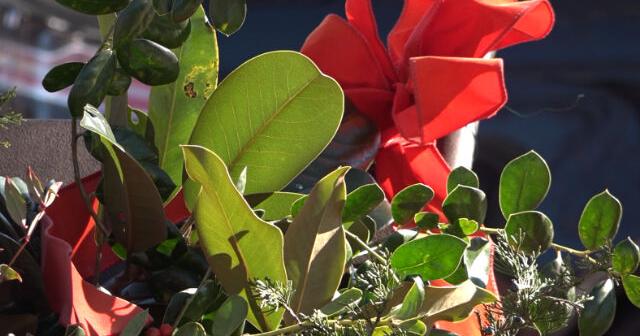 Local garden clubs decorate Amtrak station for the holidays