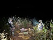 Incautan 450 kilos de marihuana en un operativo nocturno en Montecarlo