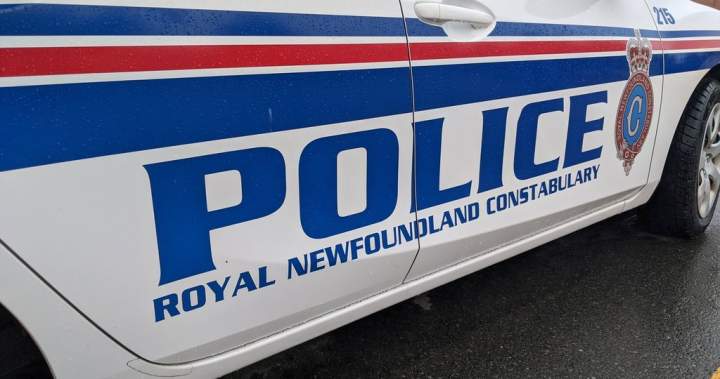 Man charged with attempted murder after 3 people attacked in Newfoundland