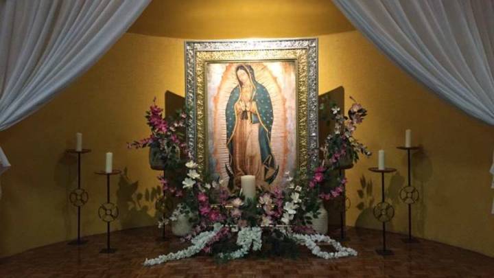 494 años con Guadalupe