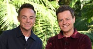 Ant and Dec hint at May return for I'm A Celebrity