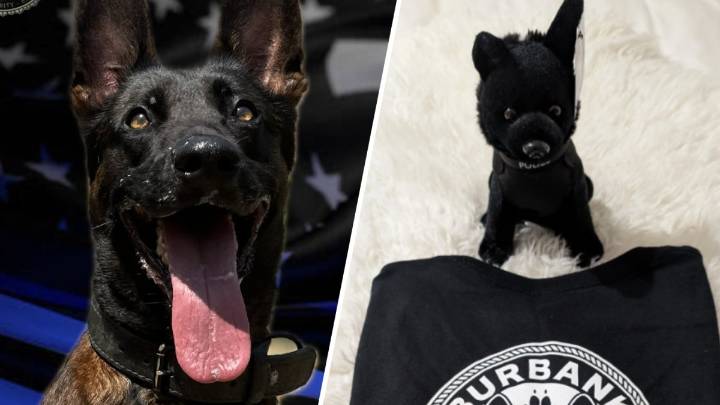 Burbank PD sells K-9 merch to honor Spike, support police dog program