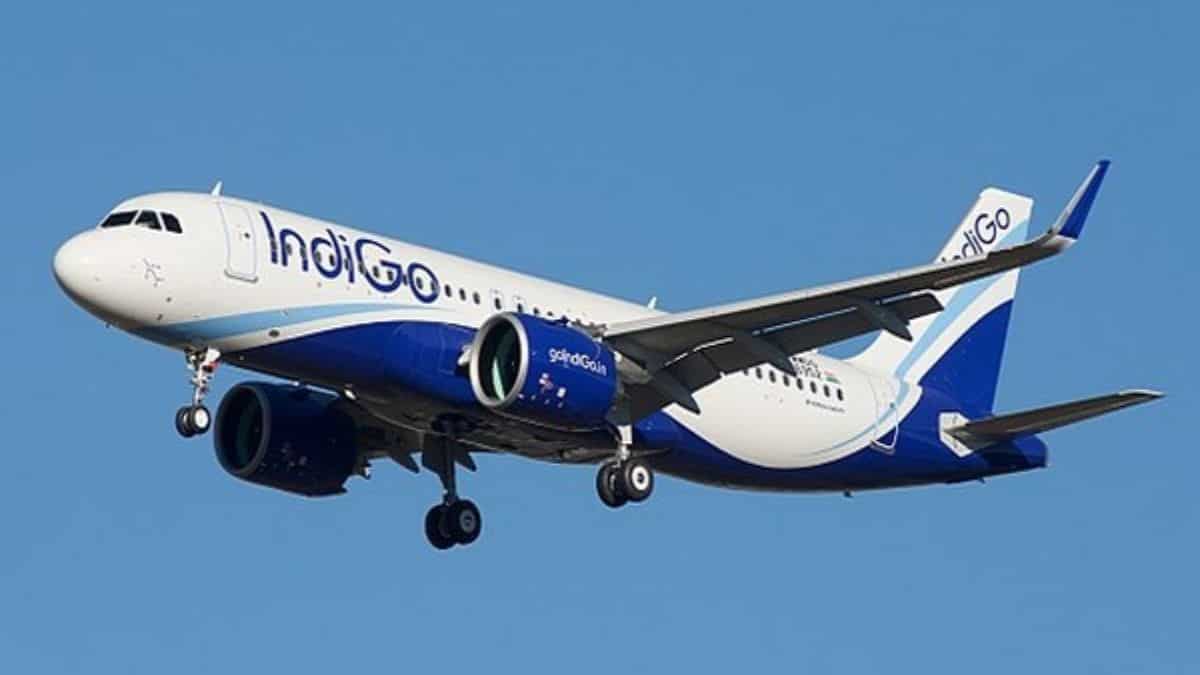 IndiGo Flight Cancellation: 200+ flights cancelled across 8 airports, check state