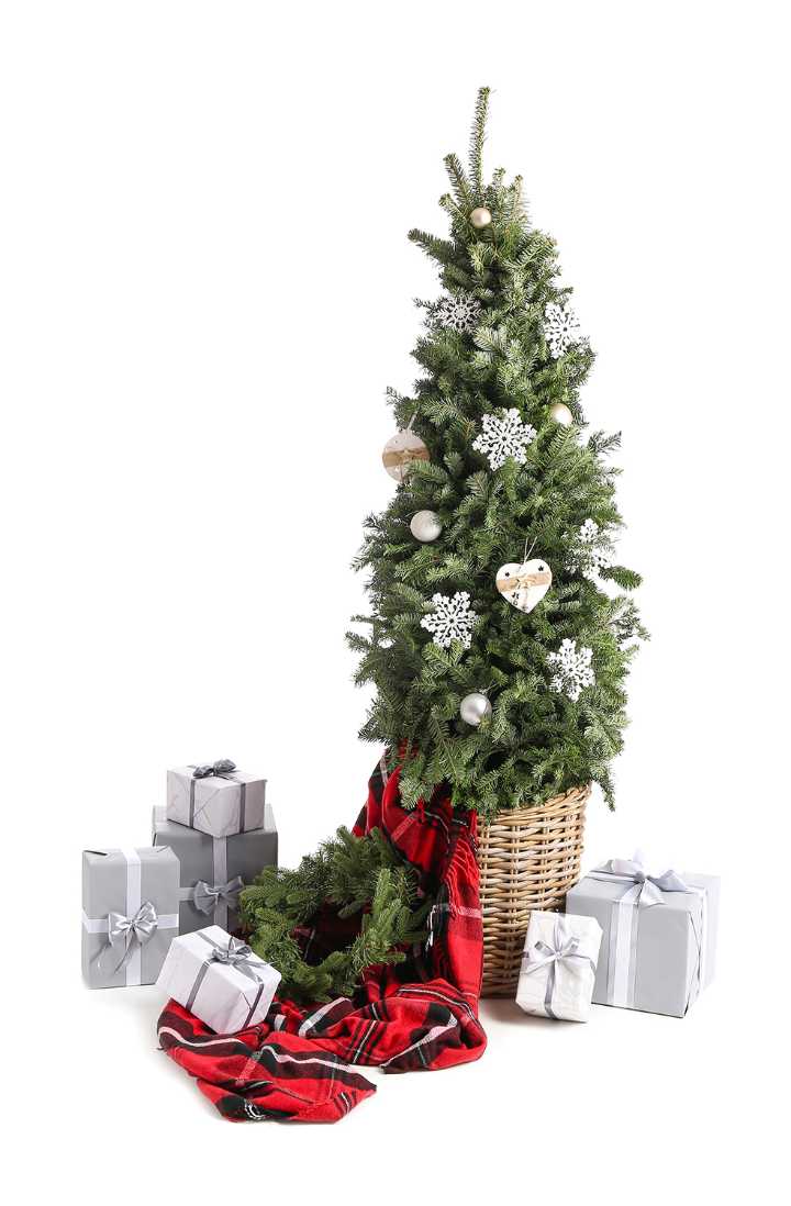 What is better for nature: real or artificial tree?