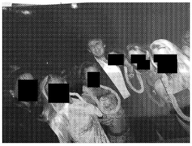 Demócratas difunden nuevas imágenes de Trump junto a Epstein