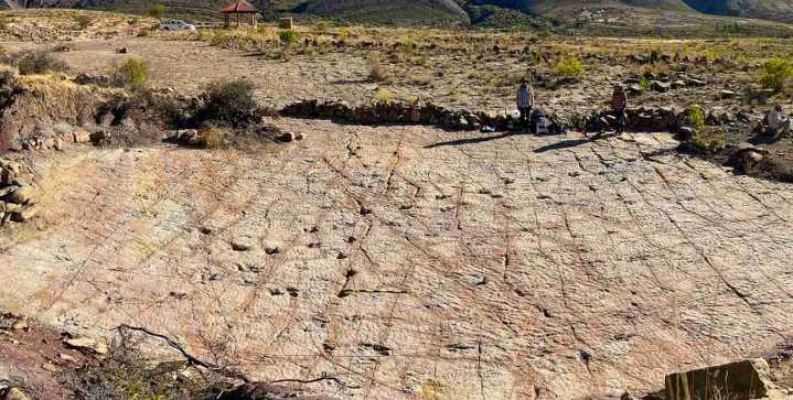 Scientists Document Over 16,000 Footprints in the World’s Most Extensive Dinosaur Tracksite