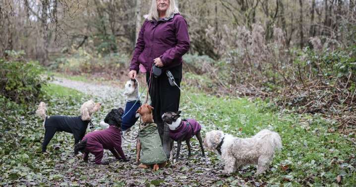 Dog walker injured after 'quad bike runs her over in park'