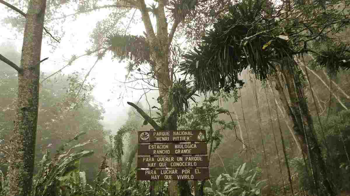 Rescate en el Parque Nacional Henry Pittier: encontraron a un excursionista de 64 años