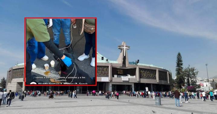 Operativo Perrito Peregrino 2025: Así ayudan a los perritos abandonados en la Basílica de Guadalupe