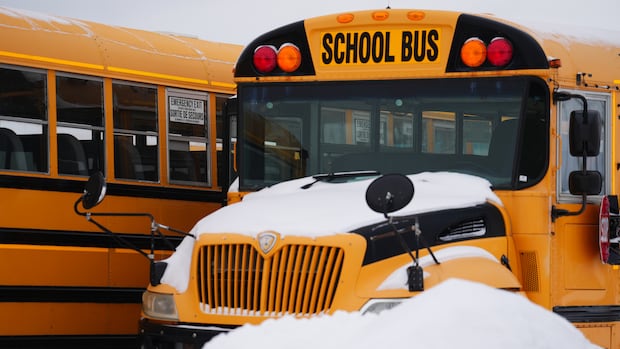 Winter blast cancels school bus service, classes in parts of southern Manitoba