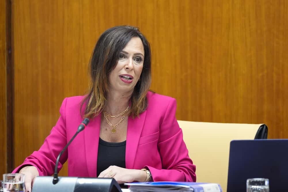 La Junta estudiará las alegaciones al trazado del Metro por Bellavista