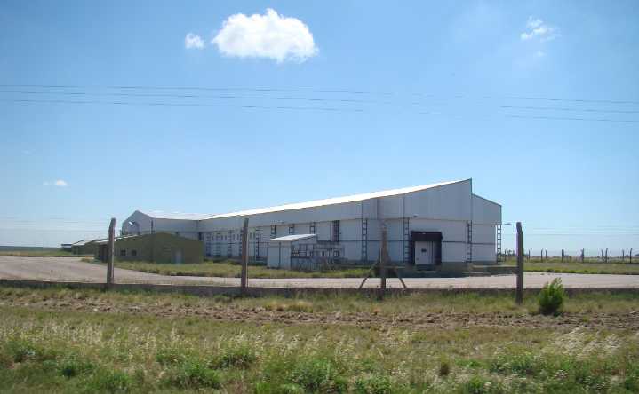 Frigorífico Bernasconi sin faena: la empresa dice que la crisis es por los bajos precios del negocio cárnico con China