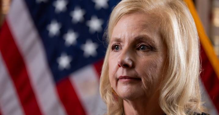 Foes of Missouri’s age verification for porn websites may face steep legal hurdles