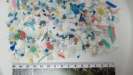 Trillions of microplastics detected in Indian River Lagoon