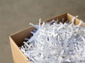 Shred for a toy event planned for Saturday