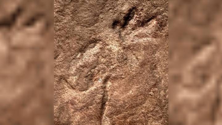 Hallazgo en China: descubren huellas de dinosaurios de hace 200 millones de años