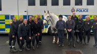 ‘Loved by everyone’: police horse who stood firm under fire and won national bravery award retires to live with his vet