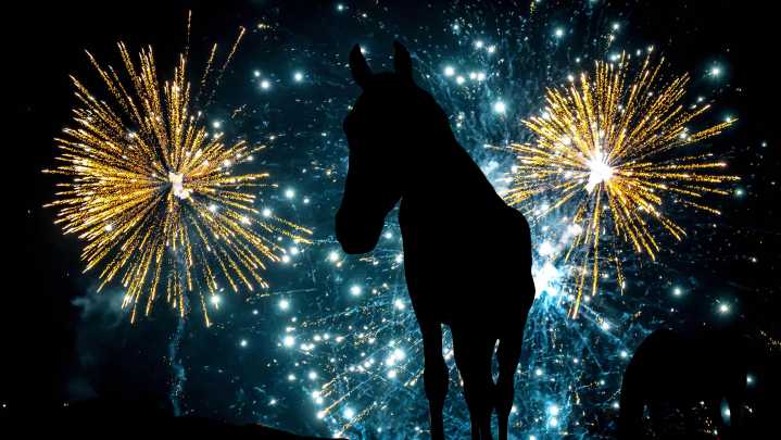 Horse world's continued push for change to firework legislation
