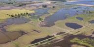 El gobierno nacional declaró la emergencia agropecuaria para zonas afectadas por las inundaciones en Buenos Aires