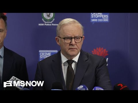 ‘Act of pure evil’: Australian Prime Minister addresses attack on Jewish event on Bondi Beach