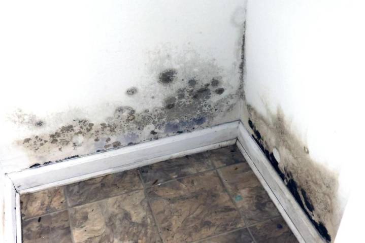 A hidden health crisis following natural disasters: Mold growth in homes