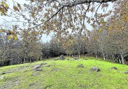 Oindi, guardián del valle despoblado