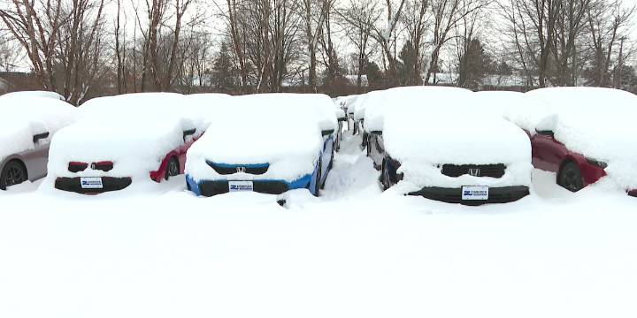 Madison car dealership digs out 900 vehicles after record snowfall
