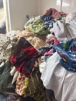 Tunica Humane Society Asks for Volunteers to Help Tackle ‘Mountain’ of Laundry